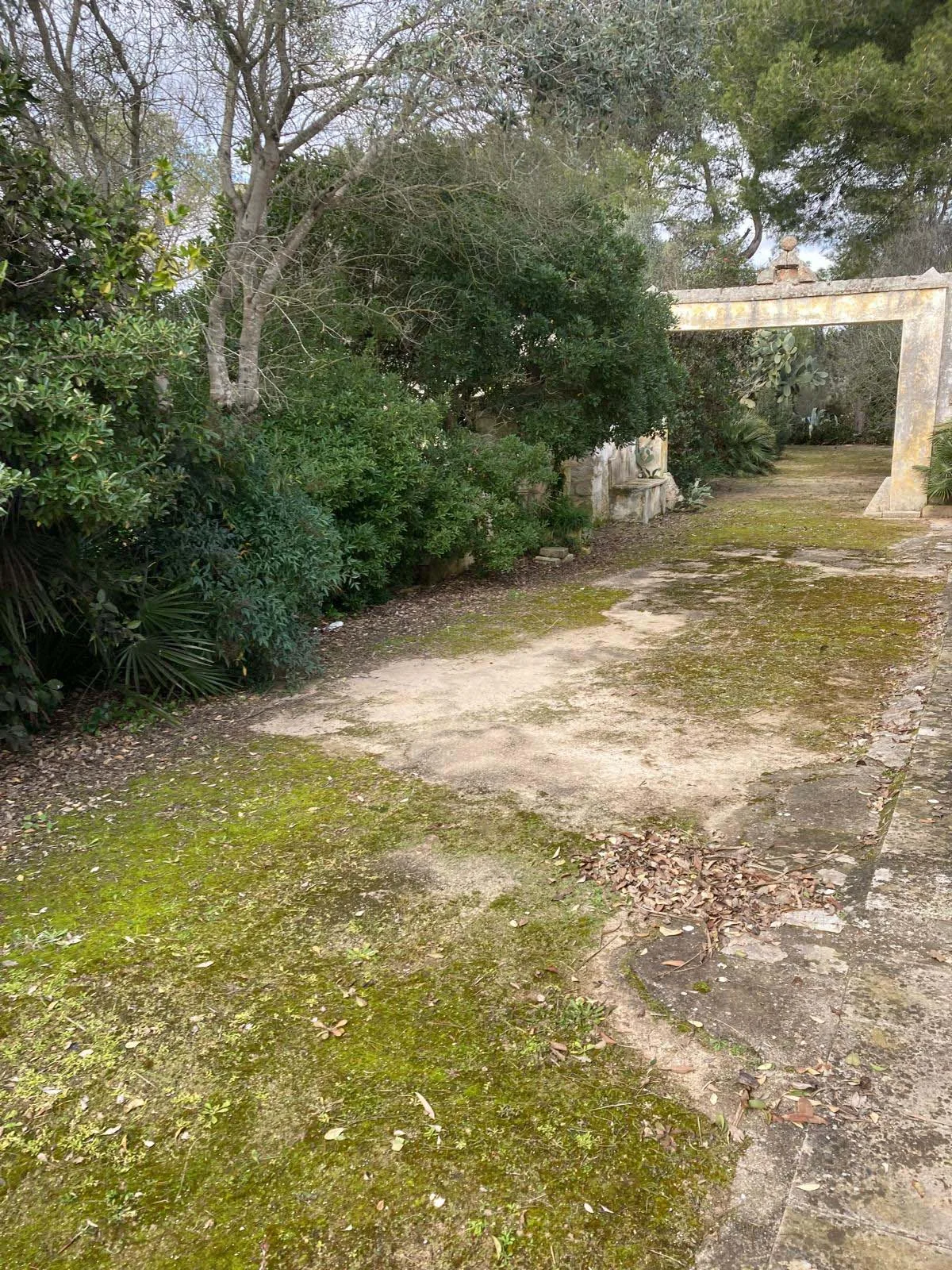 villetta — Foto 5 di 19