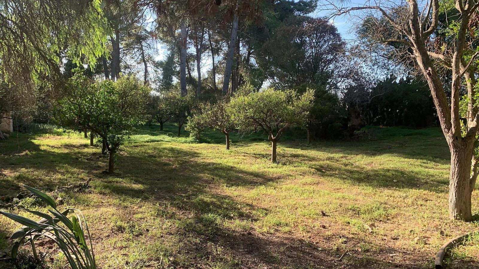 villetta — Foto 6 di 19