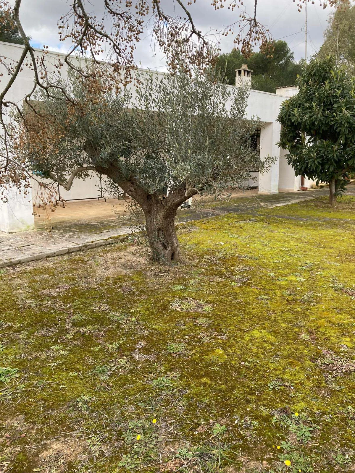 villetta — Foto 7 di 19