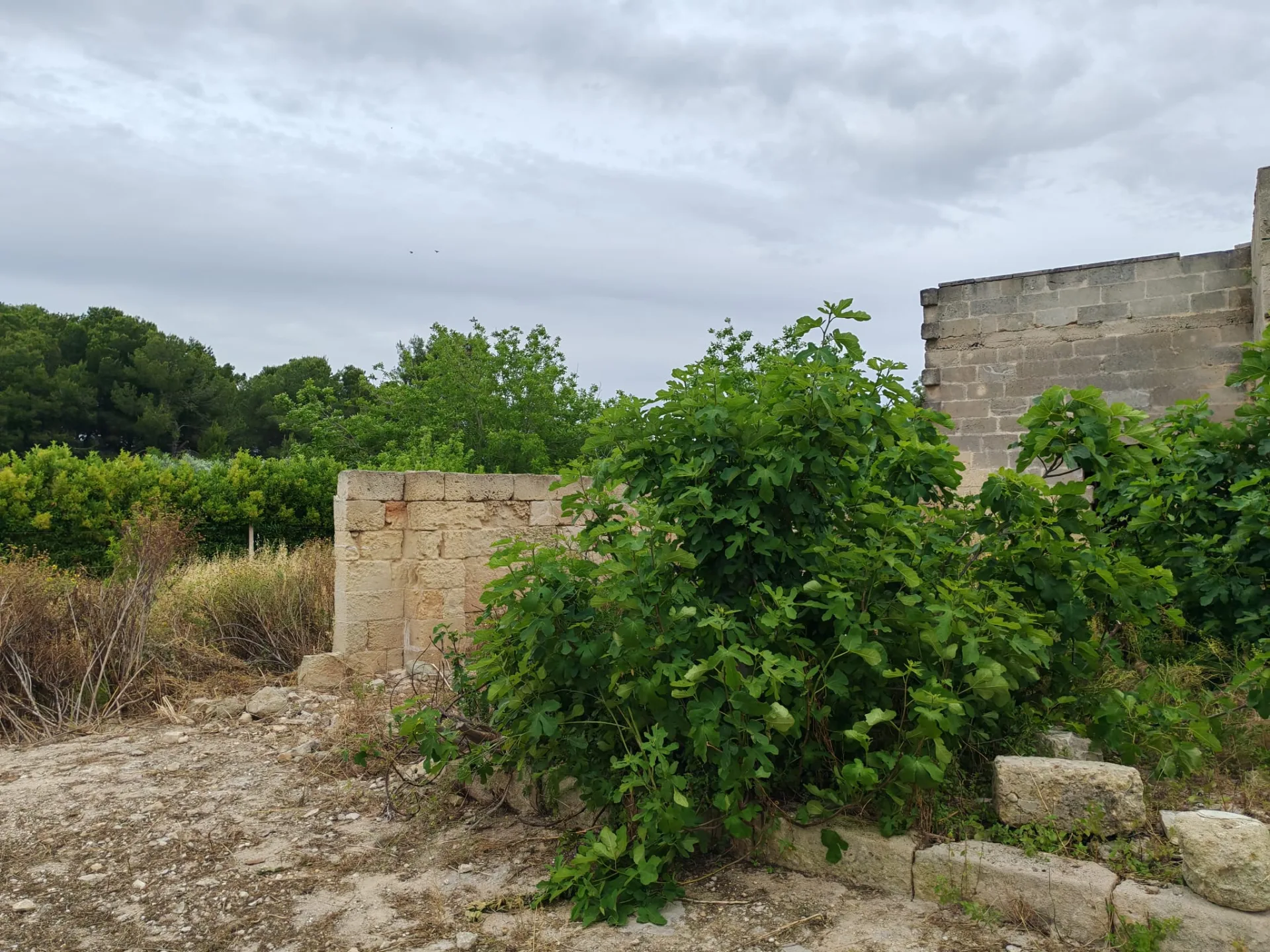 Fabbricato da adibire a Struttura Ricettiva — Foto 5 di 9