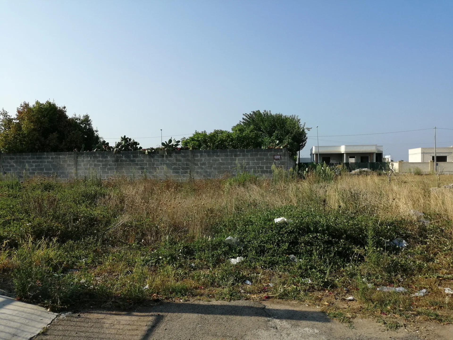 Suolo Edificatorio — Foto 4 di 5