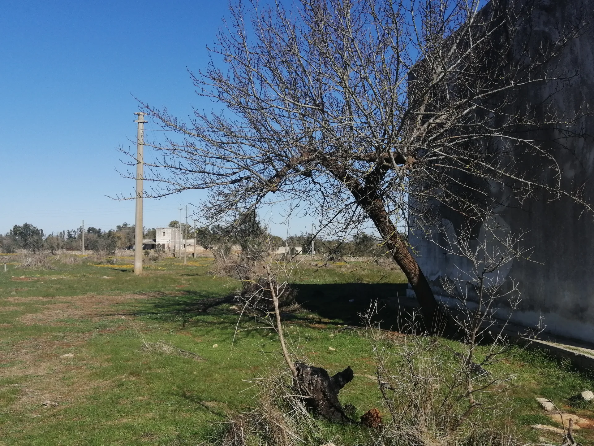 Suolo Agricolo con fabbricato — Foto 4 di 12