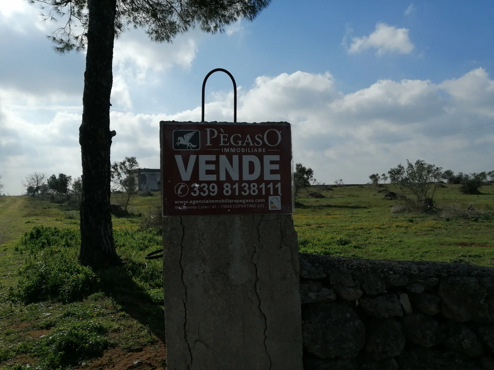 Suolo Agricolo con fabbricato — Foto 11 di 12