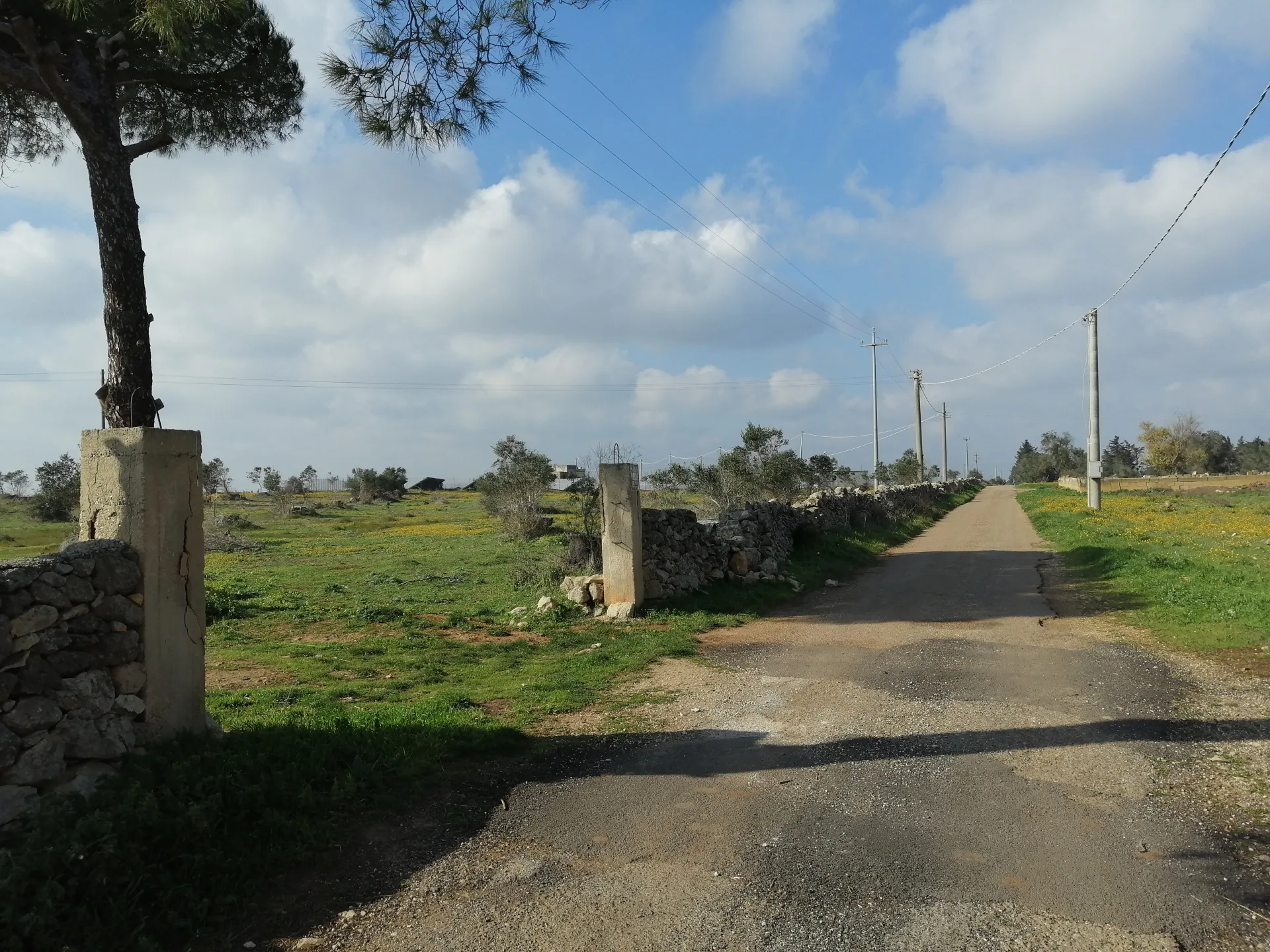 Suolo Agricolo con fabbricato — Foto 12 di 12