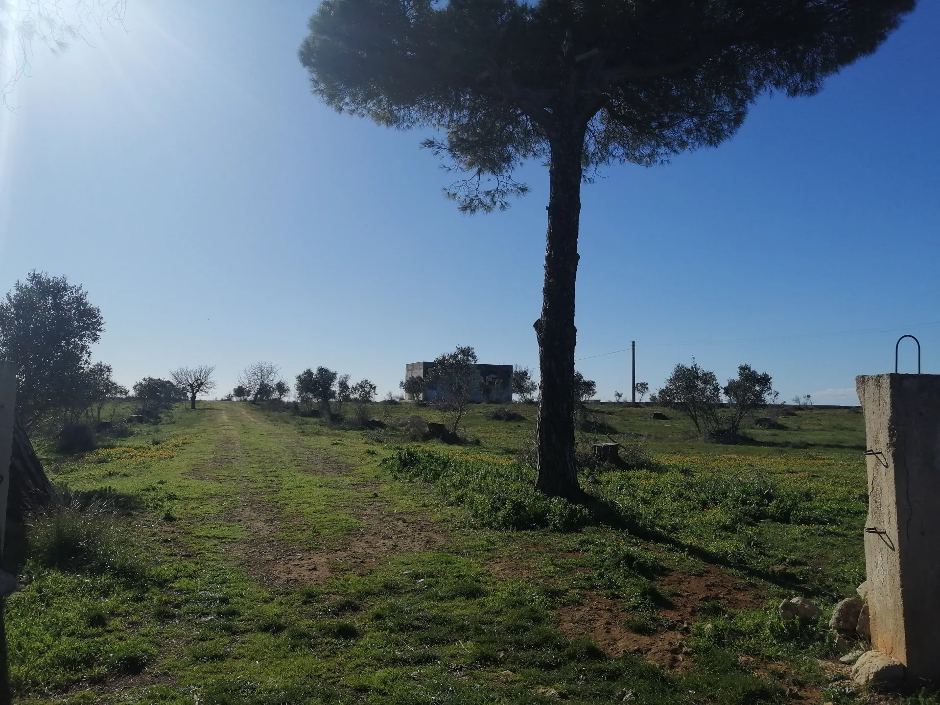 Suolo Agricolo con fabbricato — Foto 10 di 12
