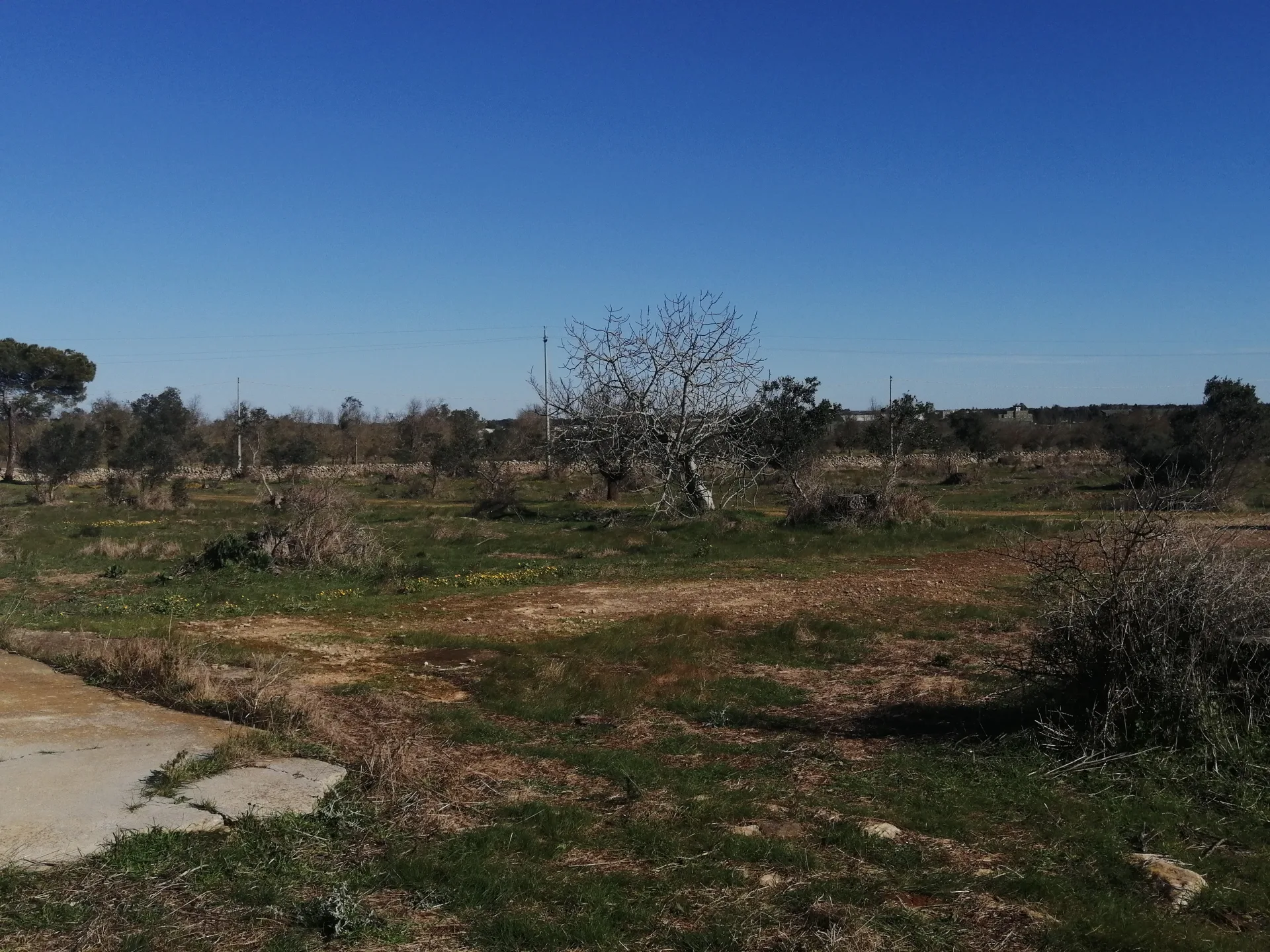 Suolo Agricolo con fabbricato — Foto 6 di 12