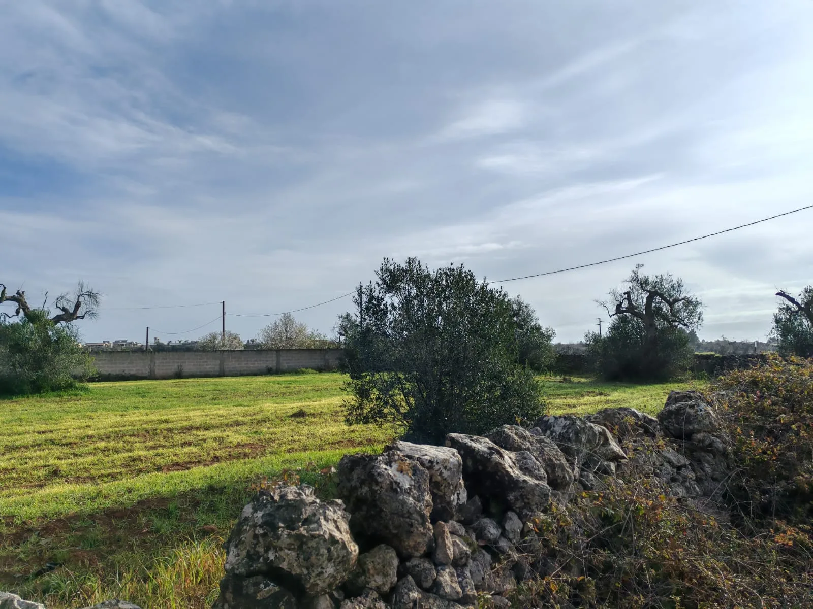 Suolo Agricolo — Foto 3 di 9