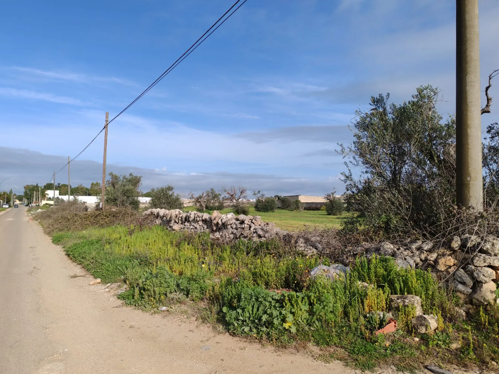 Suolo Agricolo — Foto 6 di 9