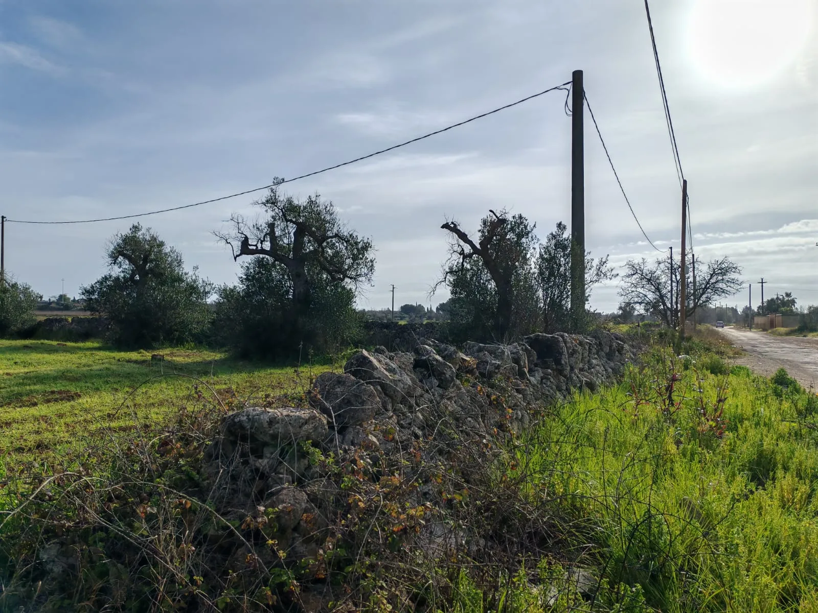Suolo Agricolo — Foto 4 di 9