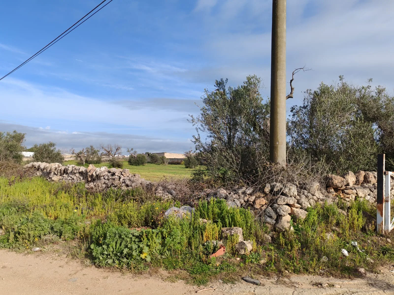 Suolo Agricolo — Foto 7 di 9