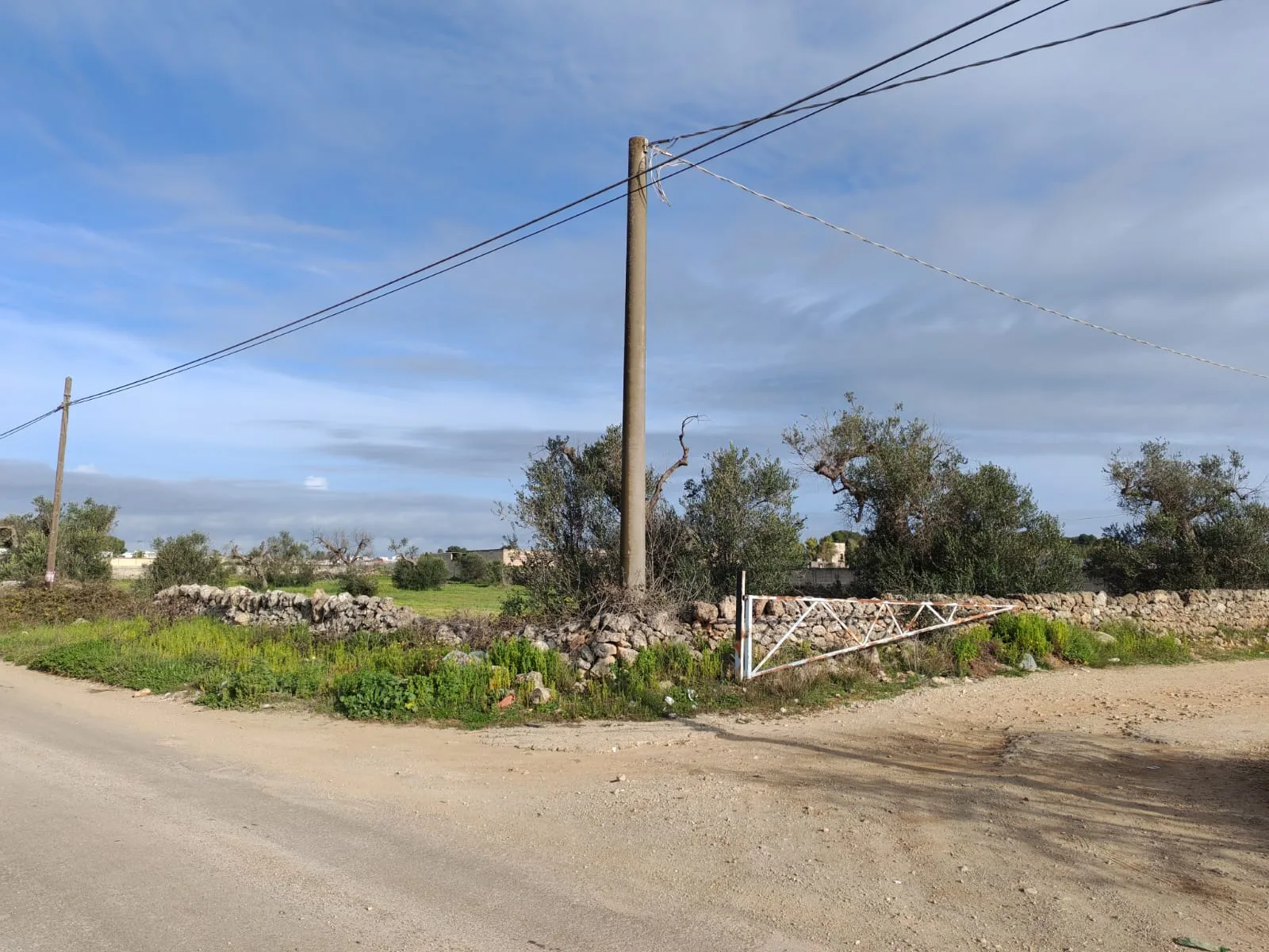 Suolo Agricolo