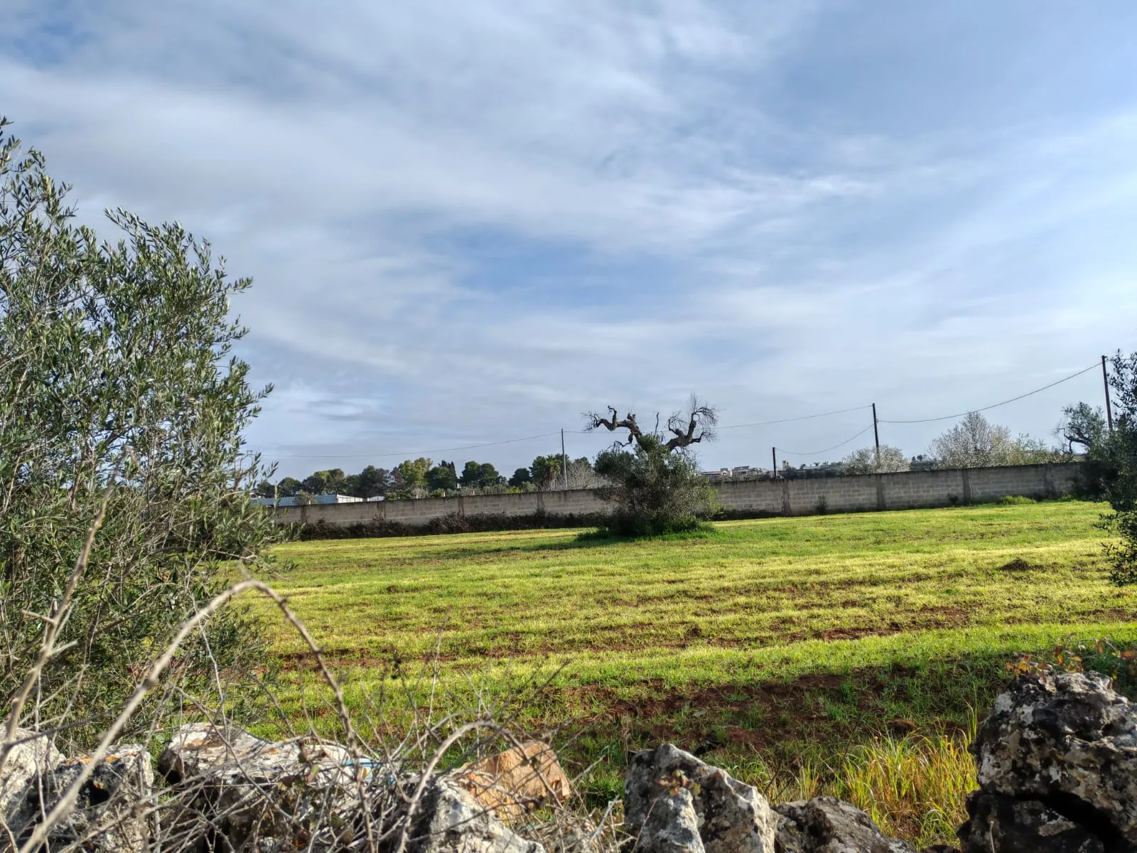 Suolo Agricolo — Foto 2 di 9