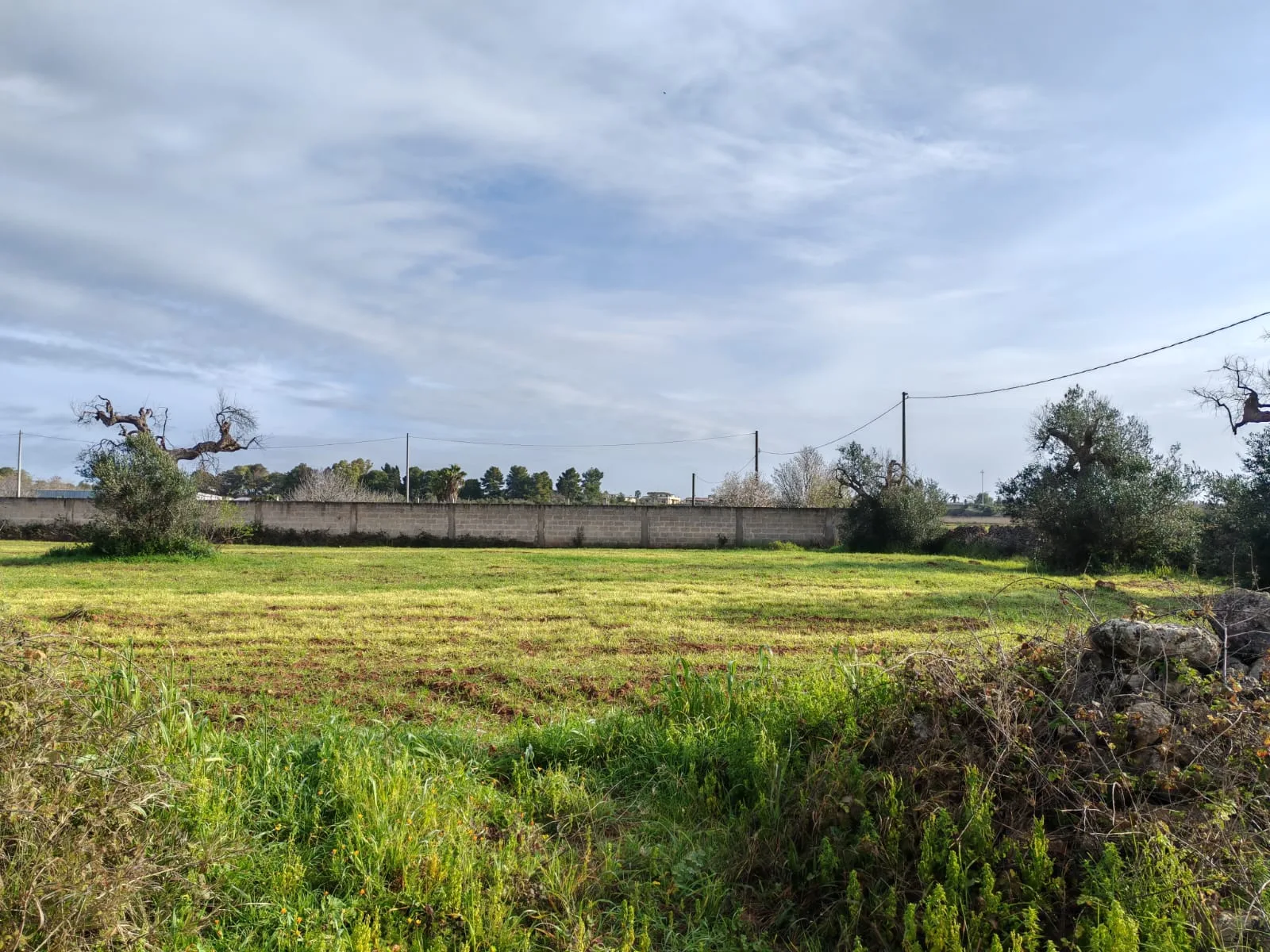 Suolo Agricolo — Foto 5 di 9