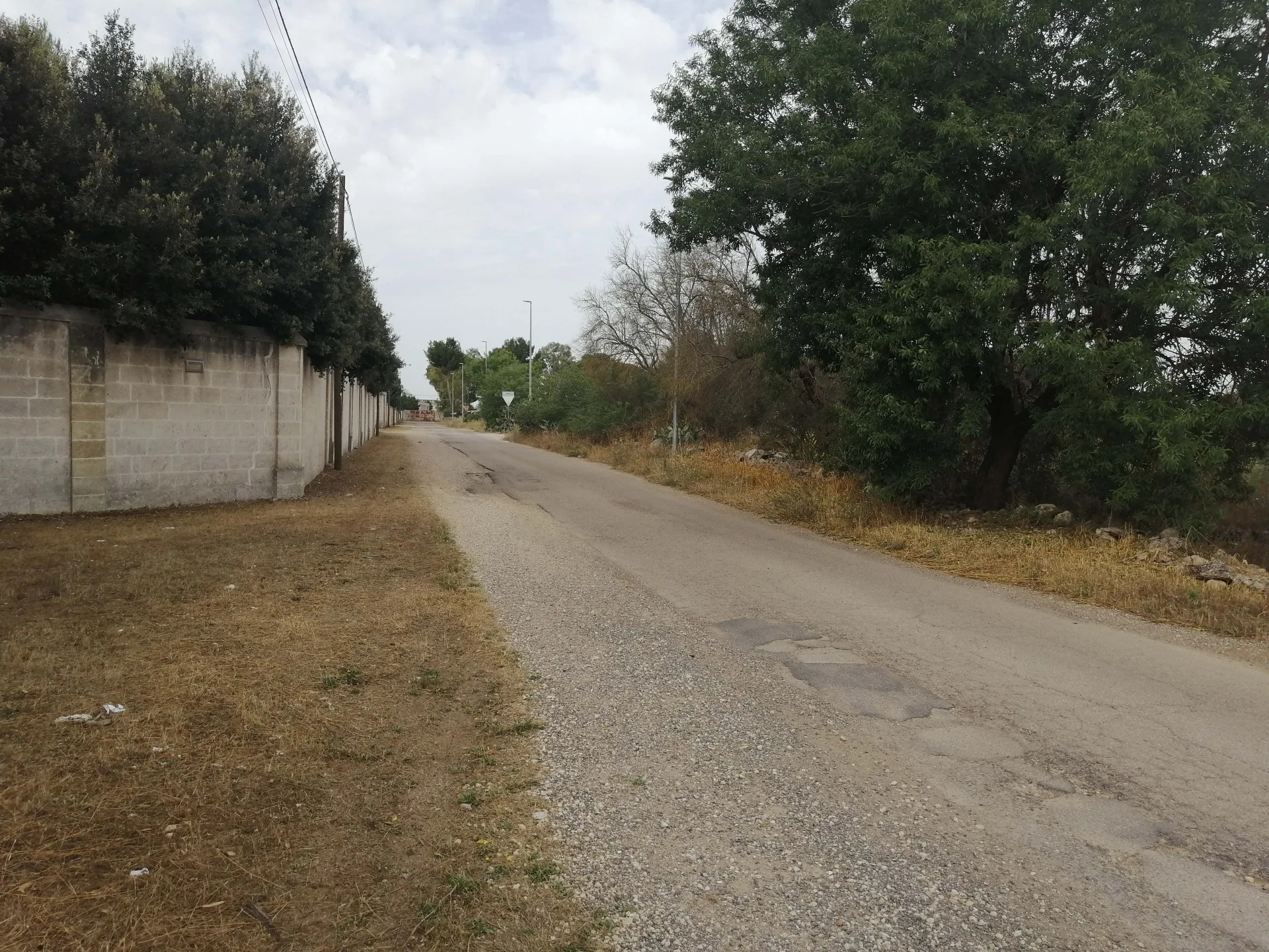 terreno agricolo