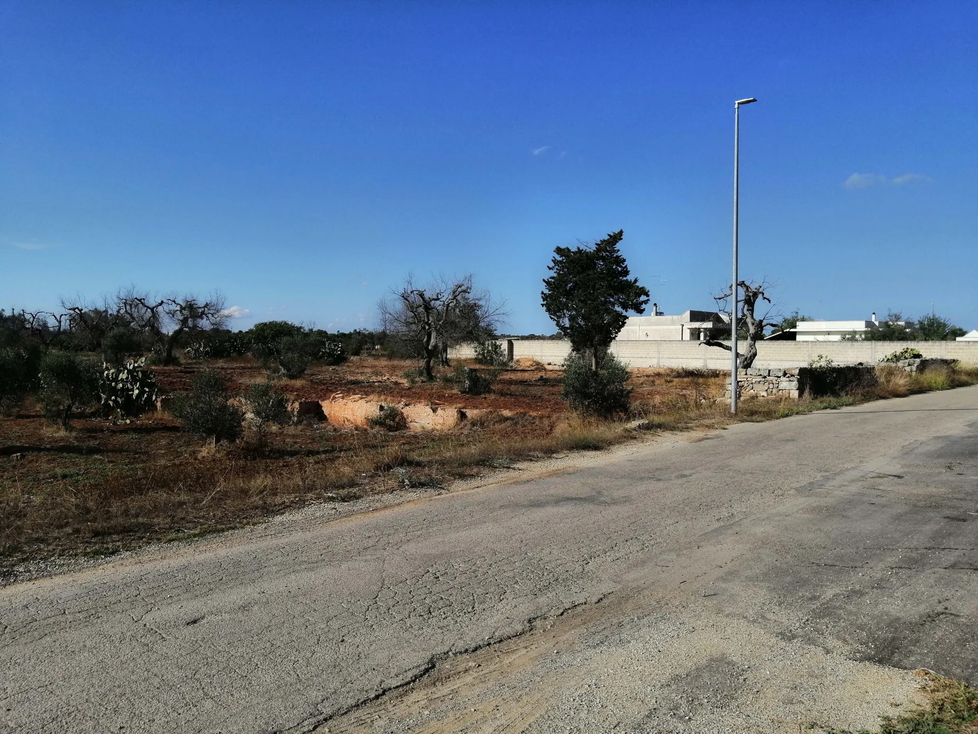 terreno agricolo — Foto 2 di 8