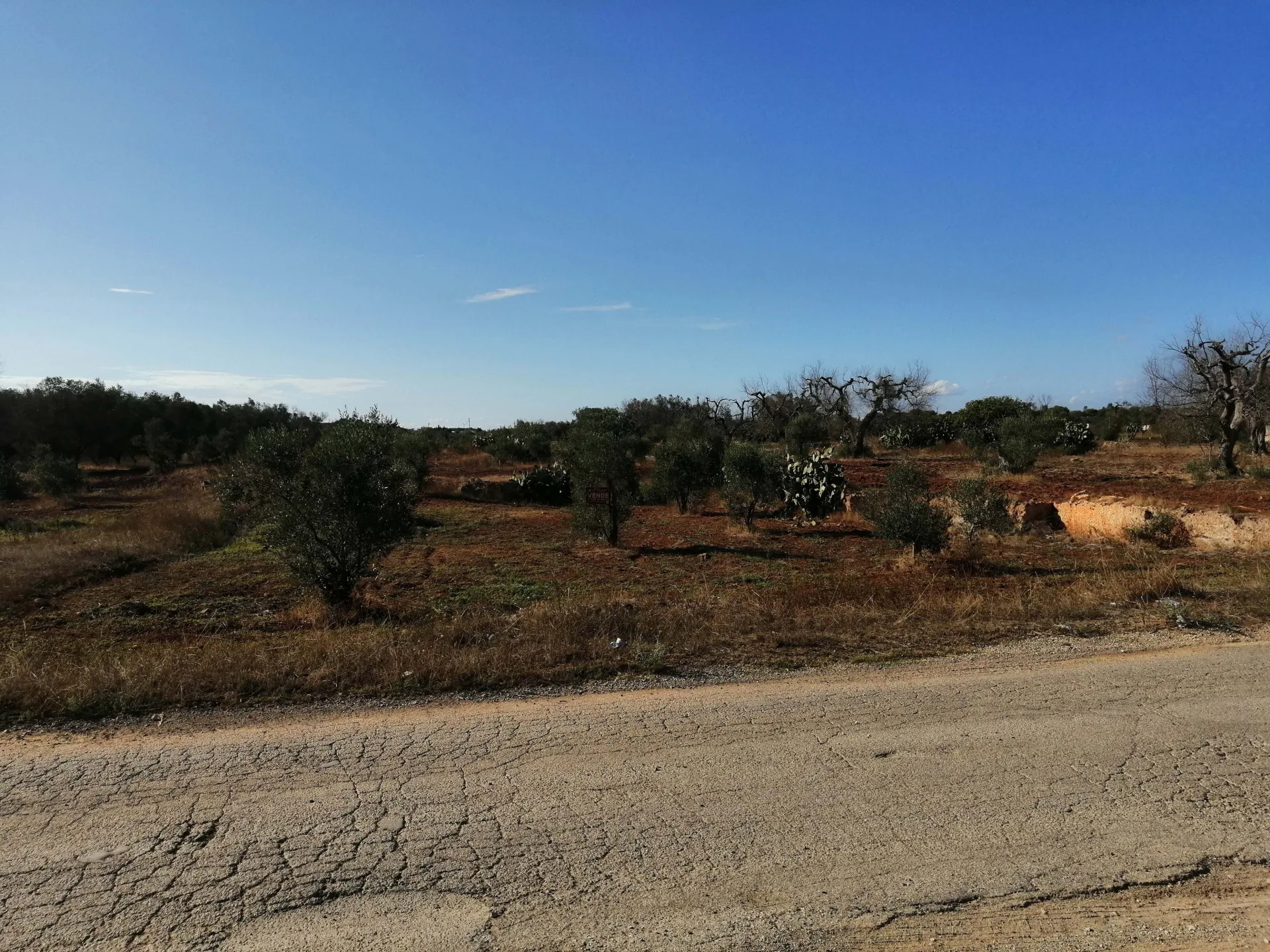 terreno agricolo — Foto 3 di 8