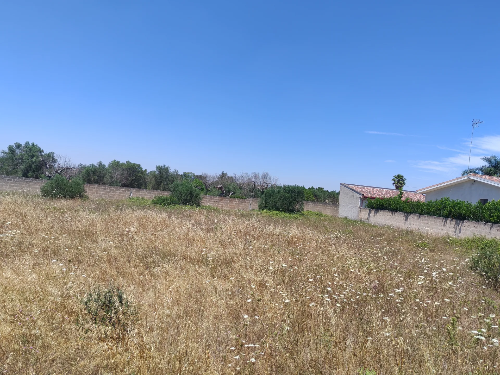 Terreno Agricolo via San Pietro in Lama — Foto 9 di 9