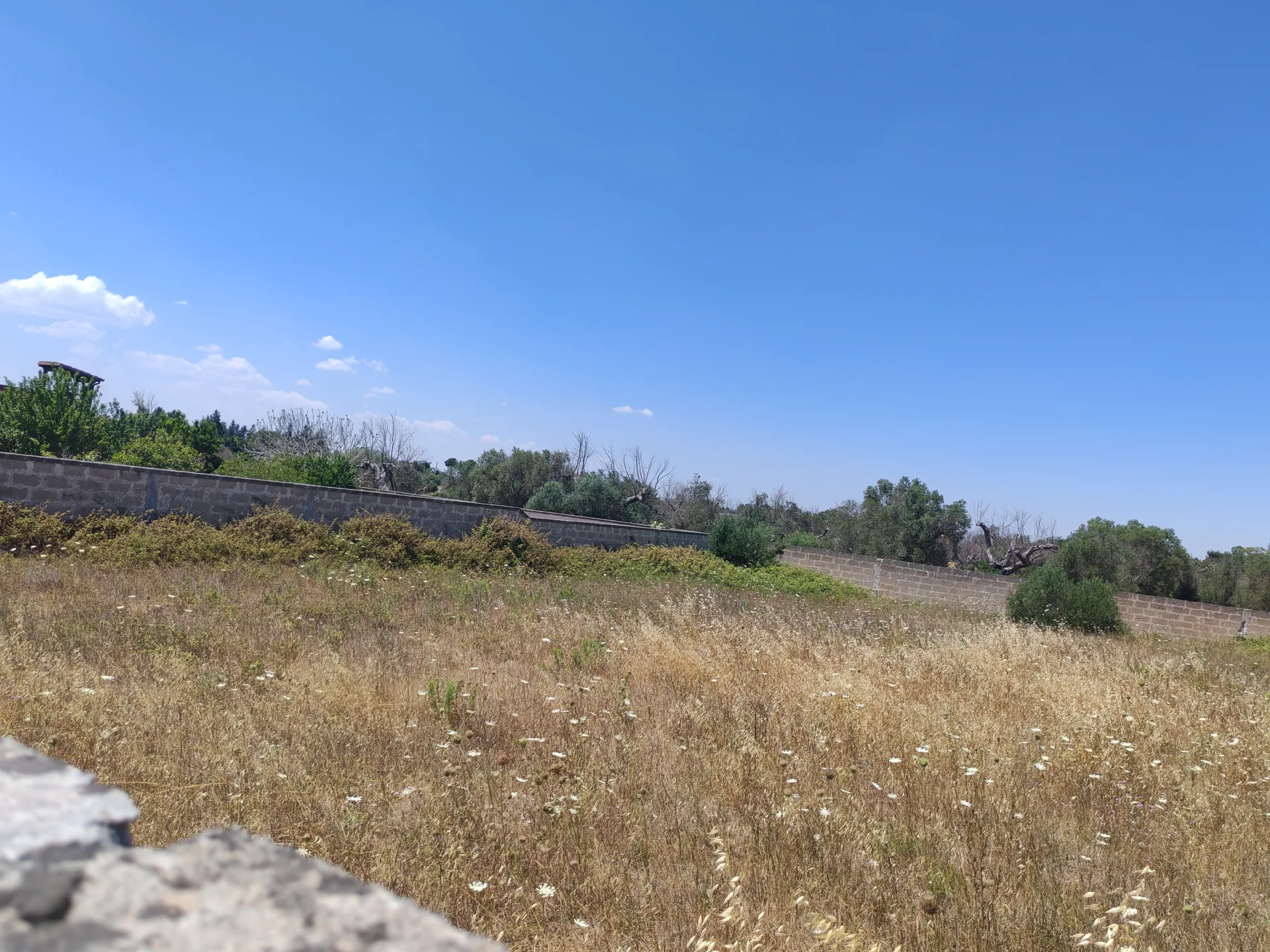 Terreno Agricolo via San Pietro in Lama — Foto 8 di 9