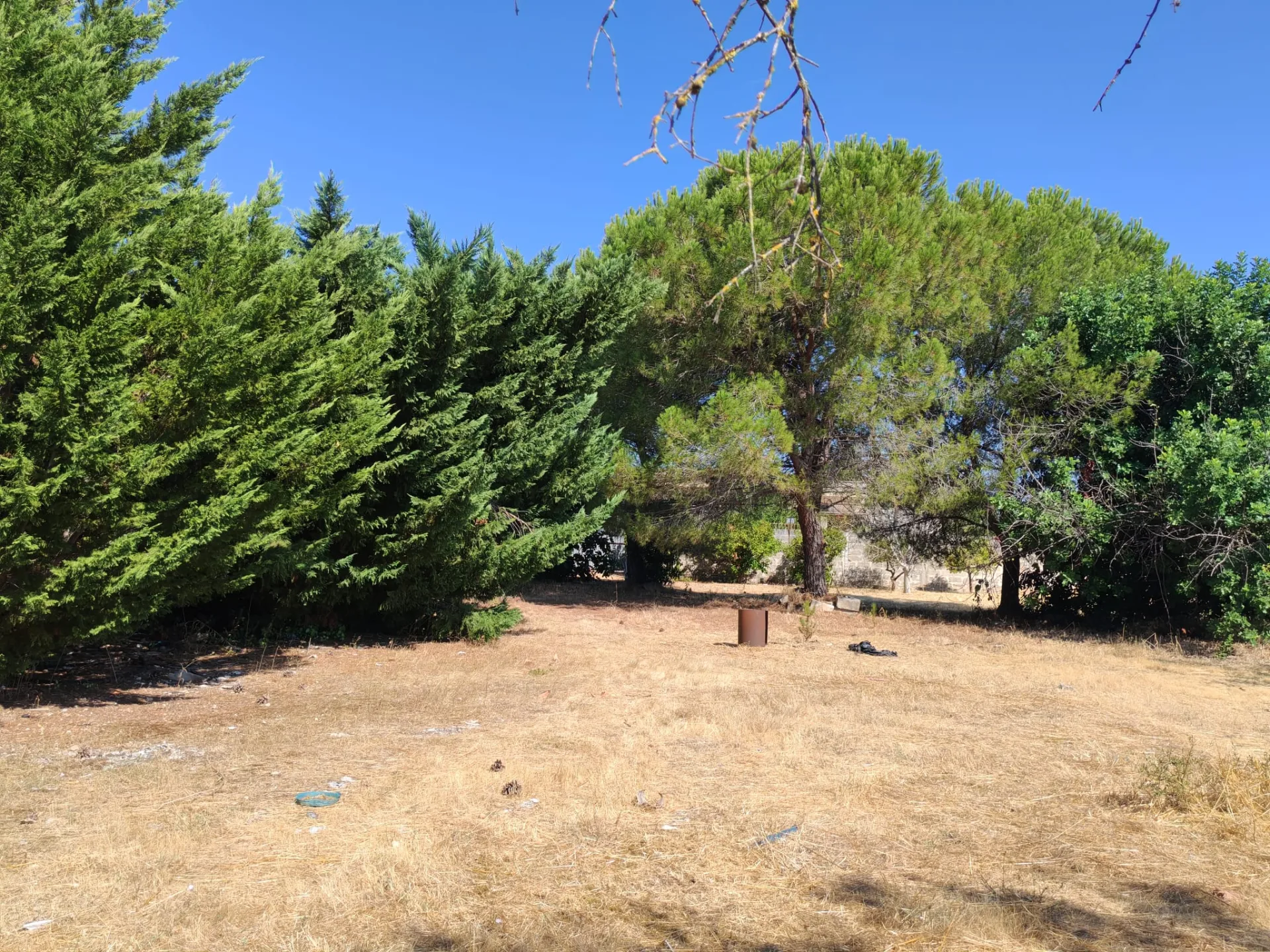 Casolare con volte a stella e a botte e 6.500 mq di terreno — Foto 13 di 15