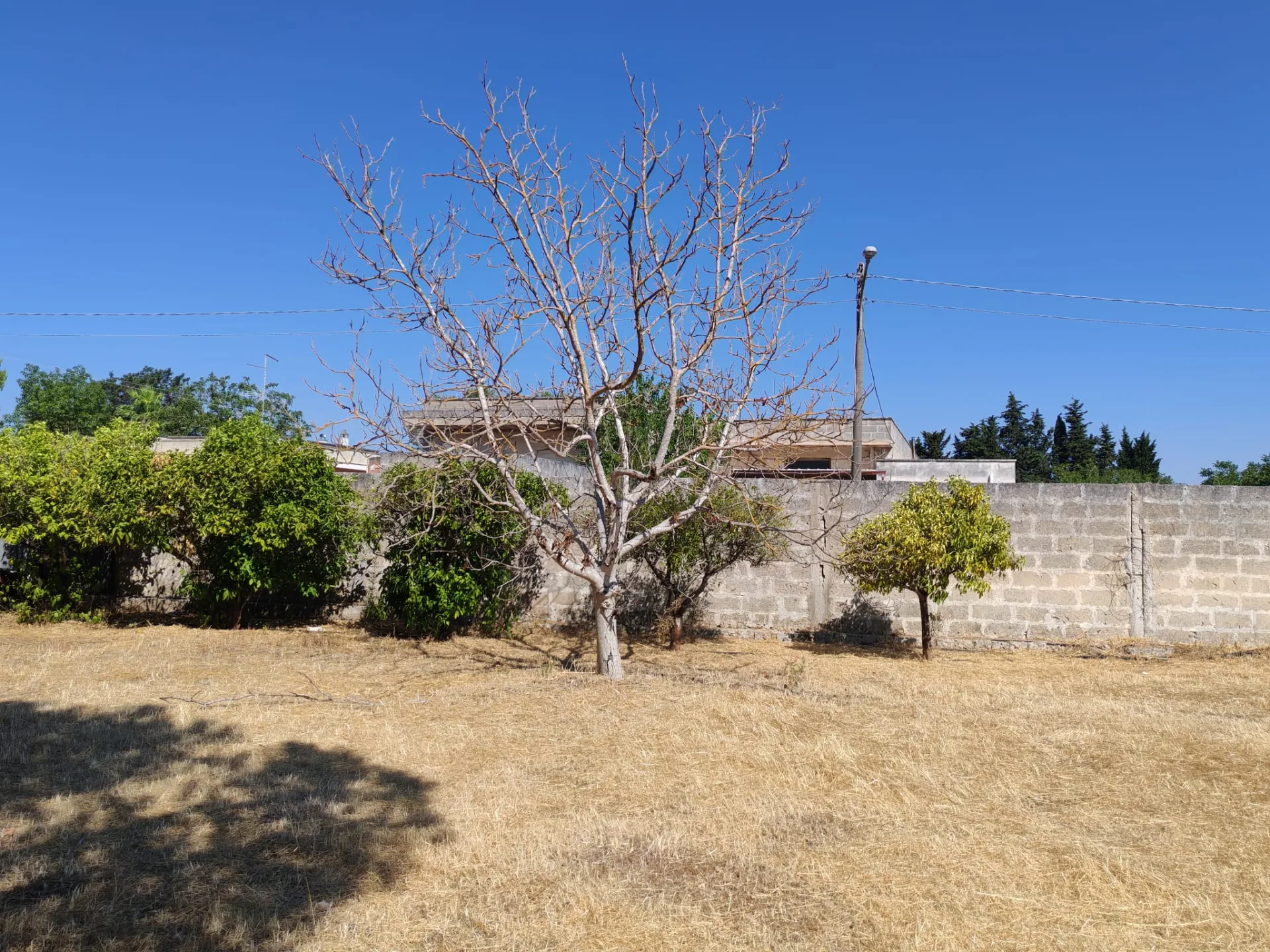Casolare con volte a stella e a botte e 6.500 mq di terreno — Foto 14 di 15
