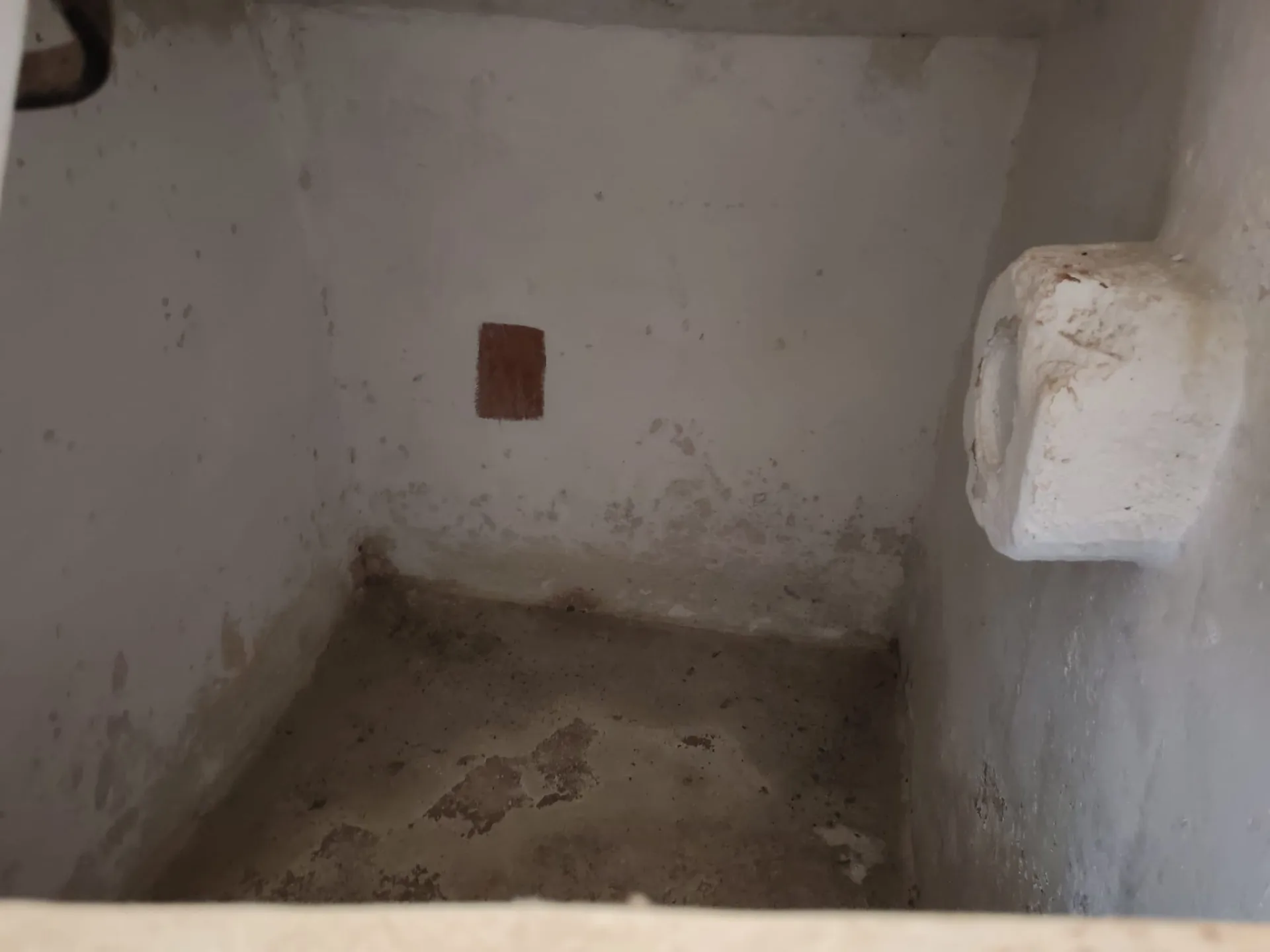 Casolare con volte a stella e a botte e 6.500 mq di terreno — Foto 6 di 15