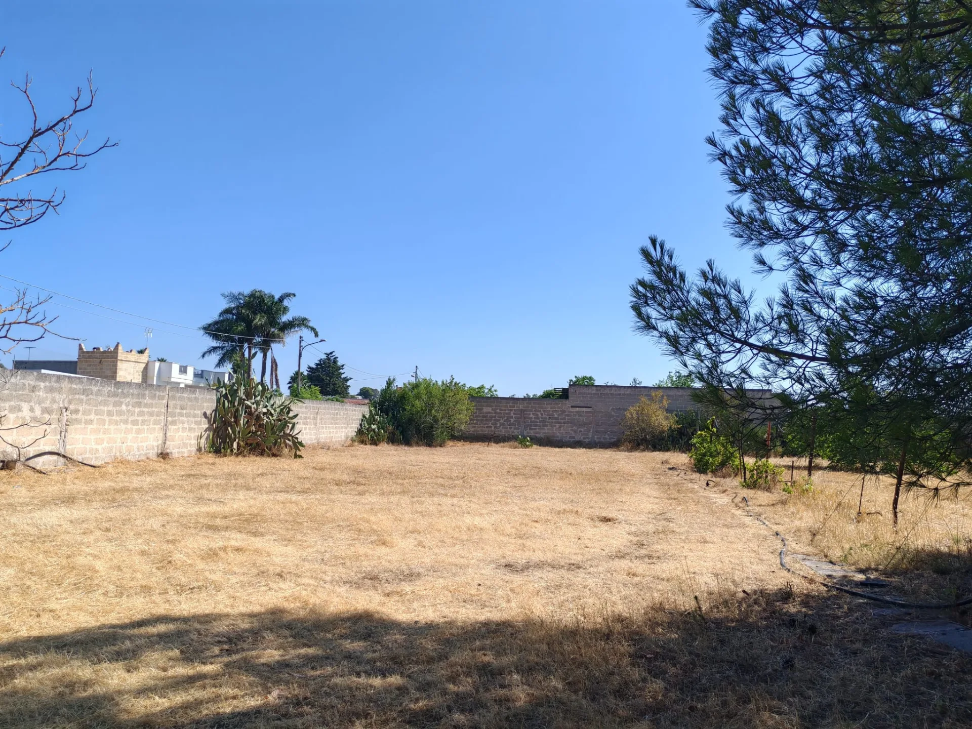 Casolare con volte a stella e a botte e 6.500 mq di terreno — Foto 15 di 15