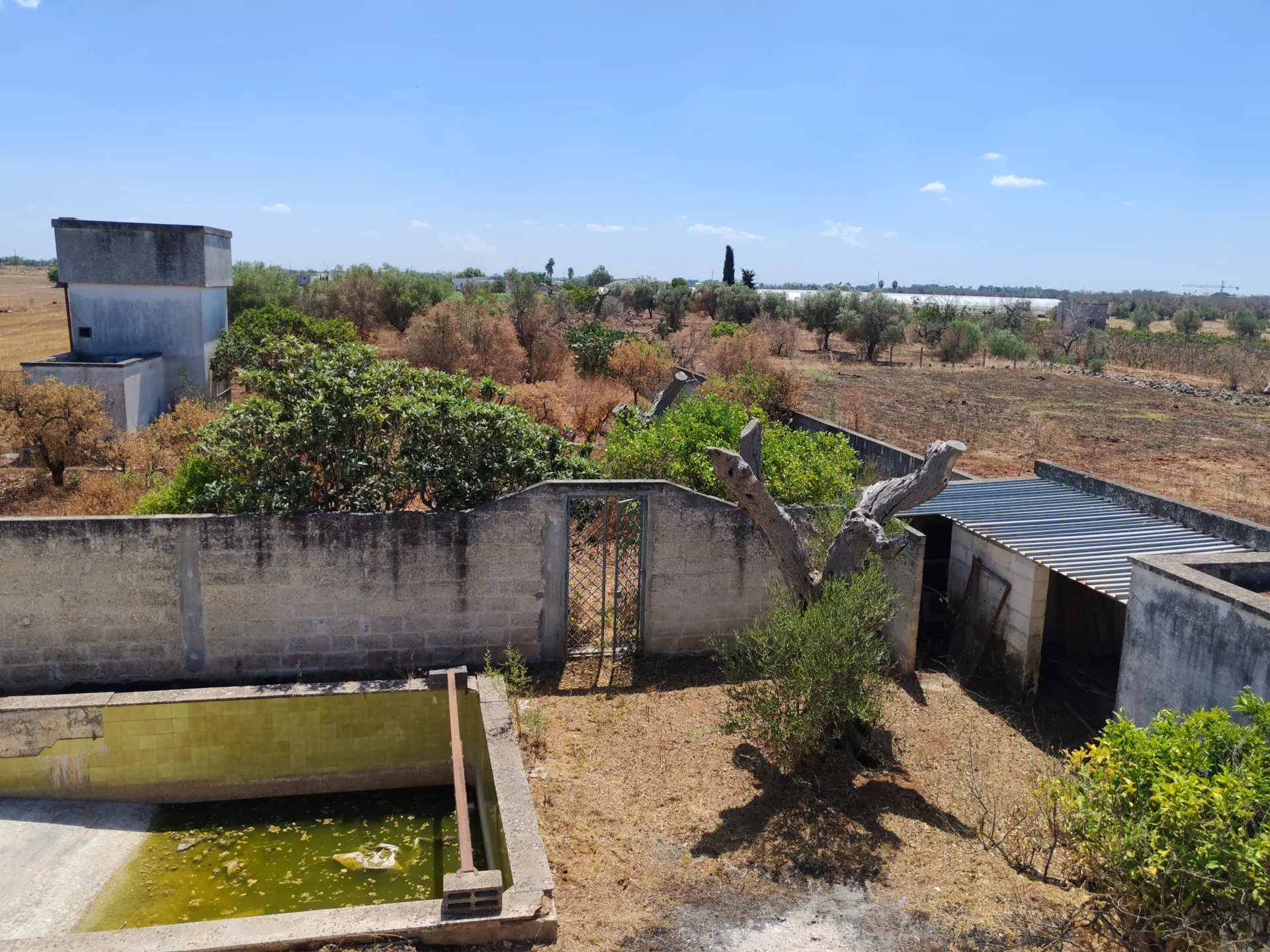 Abitazione rurale allo stato rustico con terreno di circa 7.000 mq – Copertino, Via per San Pietro in Lama — Foto 11 di 17