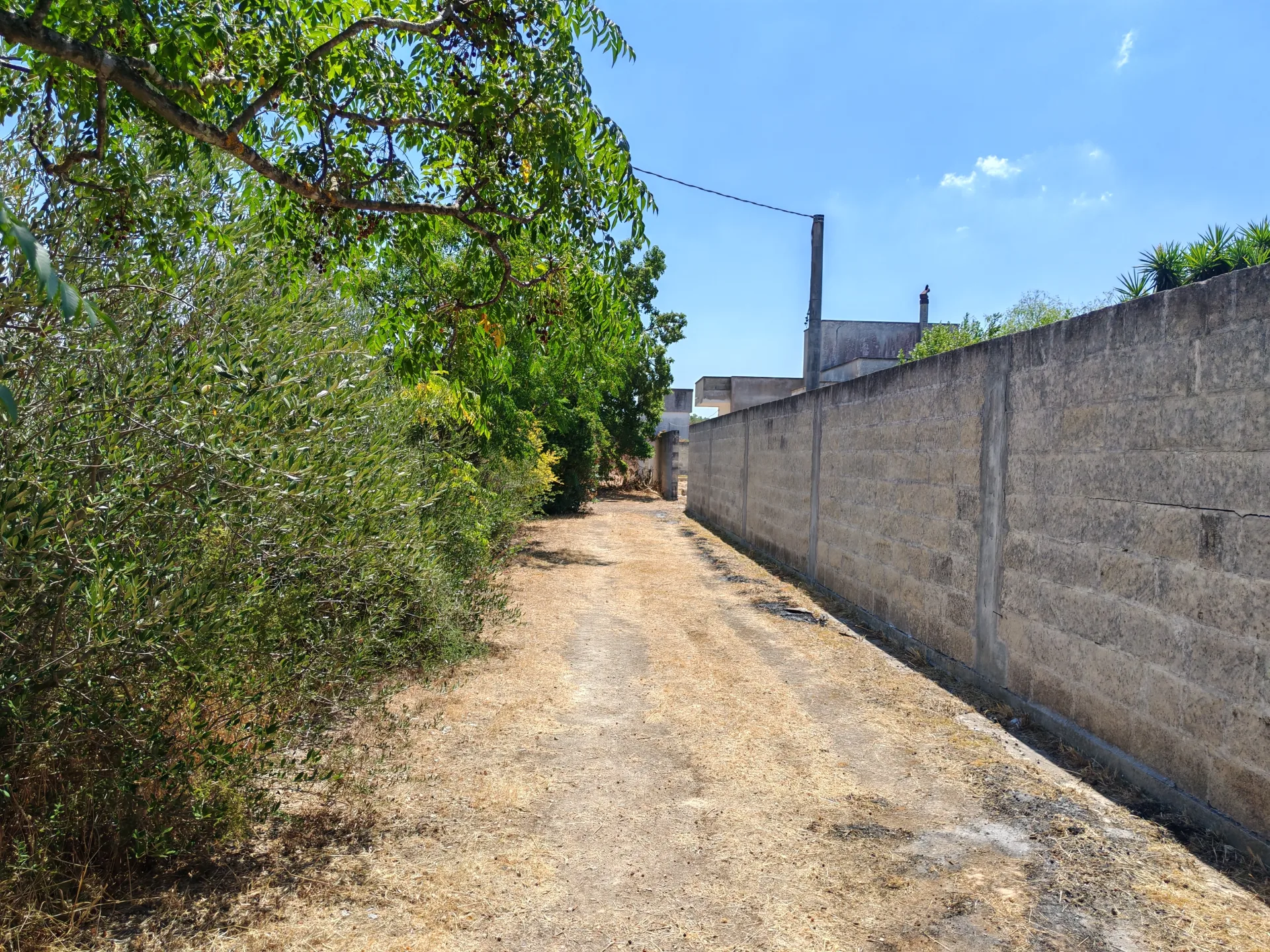 Abitazione rurale allo stato rustico con terreno di circa 7.000 mq – Copertino, Via per San Pietro in Lama — Foto 8 di 17