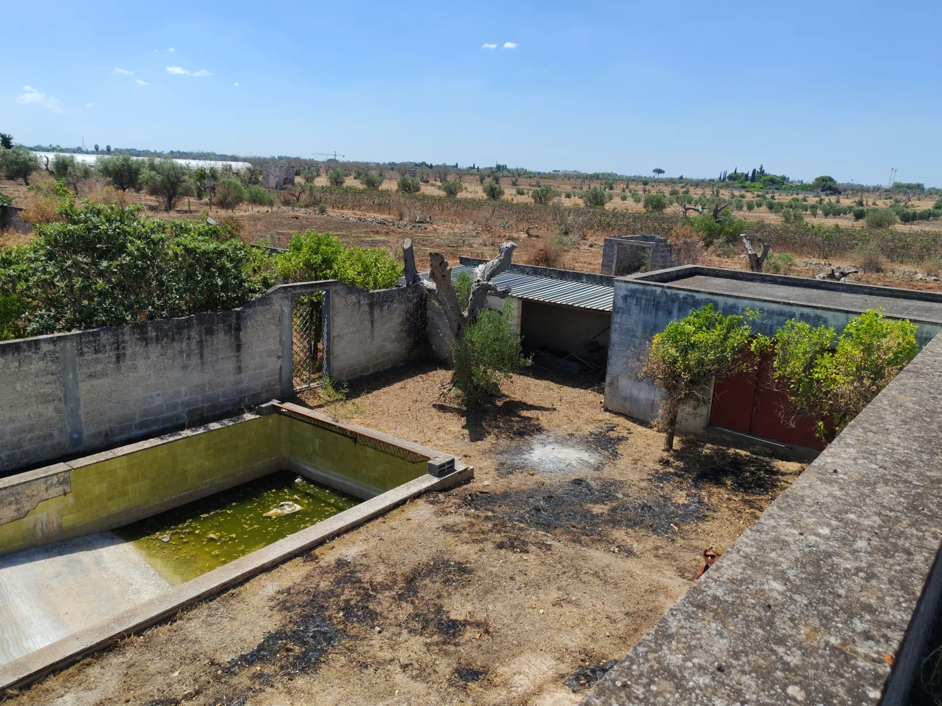 Abitazione rurale allo stato rustico con terreno di circa 7.000 mq – Copertino, Via per San Pietro in Lama — Foto 12 di 17