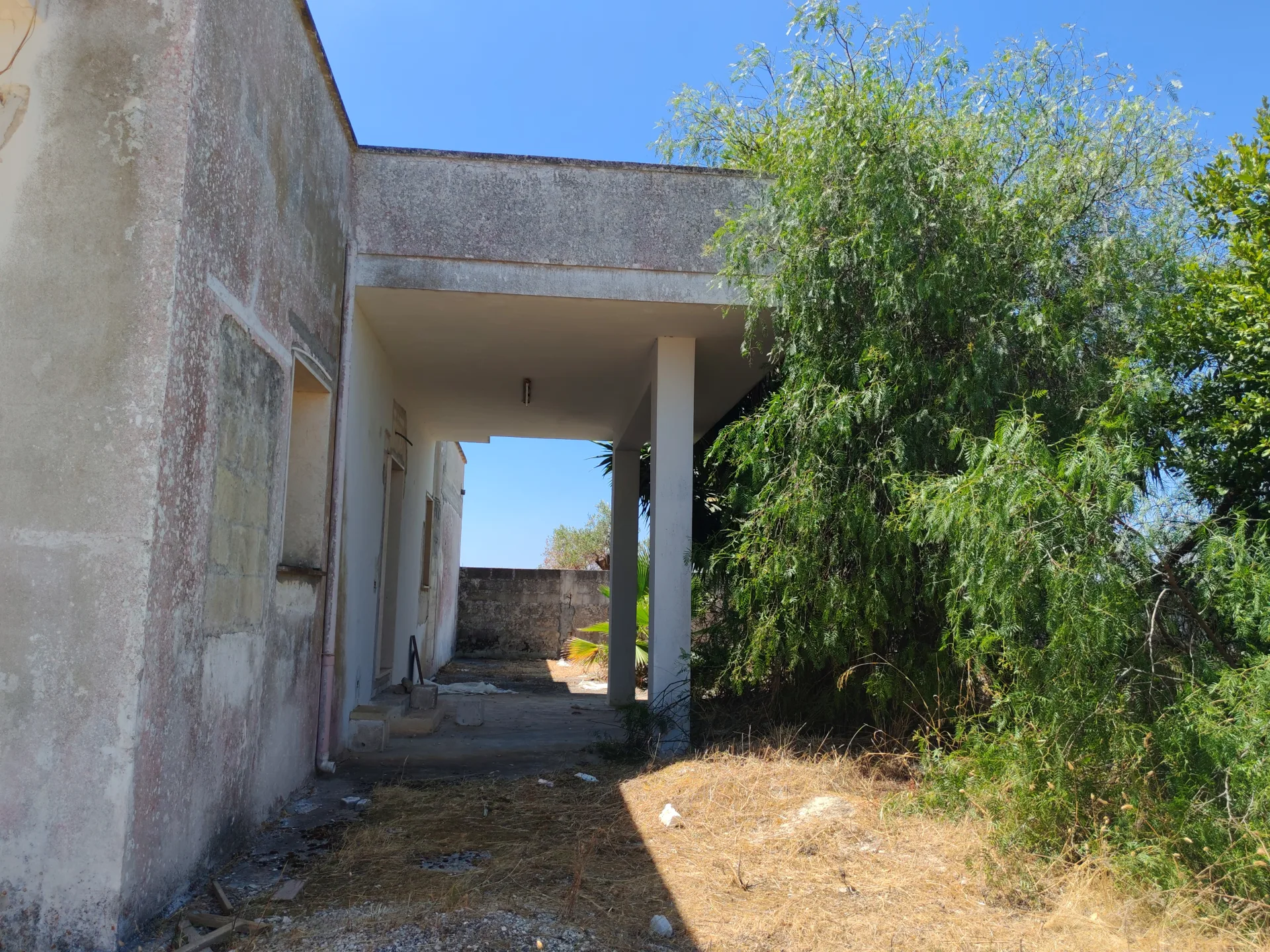 Abitazione rurale allo stato rustico con terreno di circa 7.000 mq – Copertino, Via per San Pietro in Lama — Foto 14 di 17