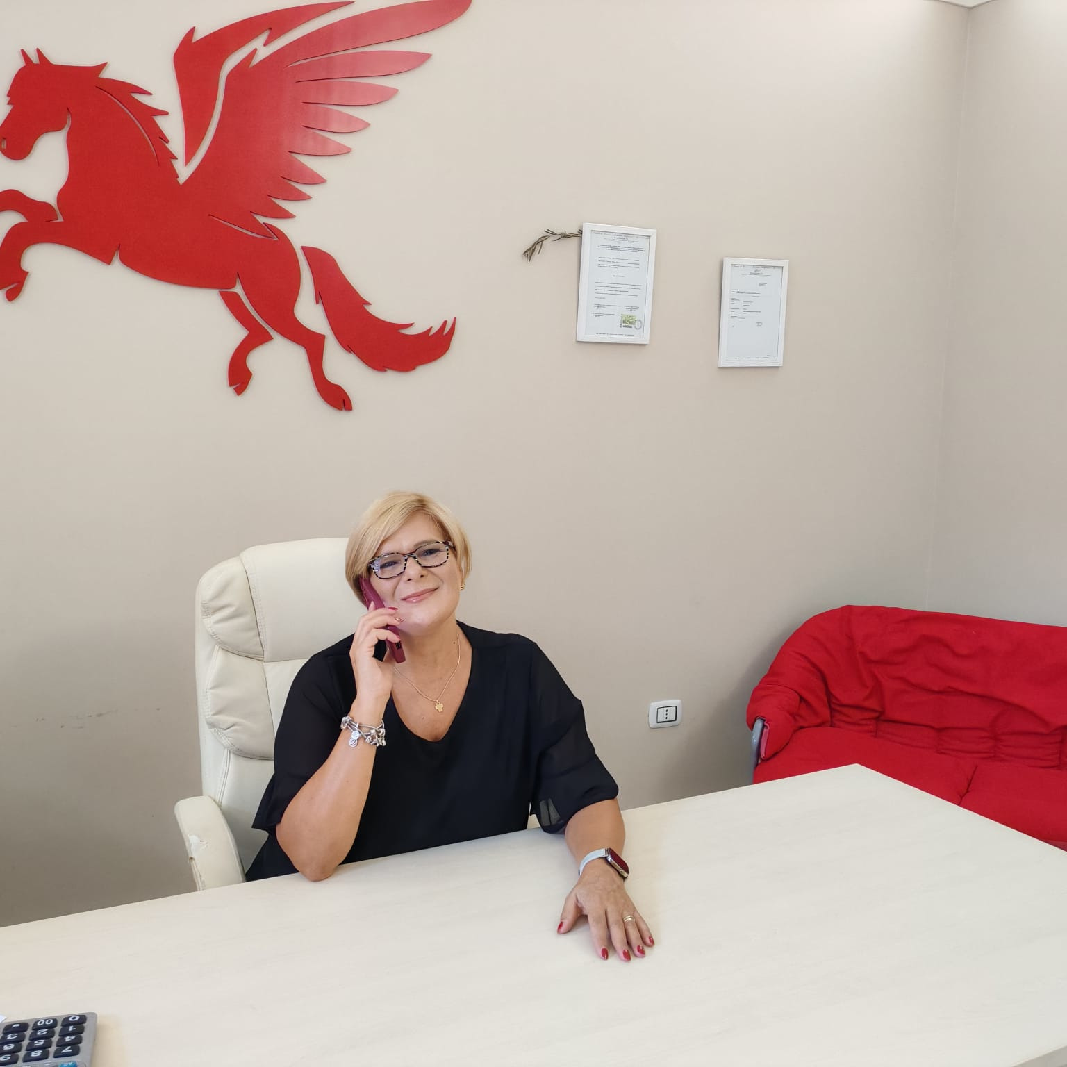Agente Immobiliare Paola Miccoli titolare dell'Agenzia Immobiliare Pegaso